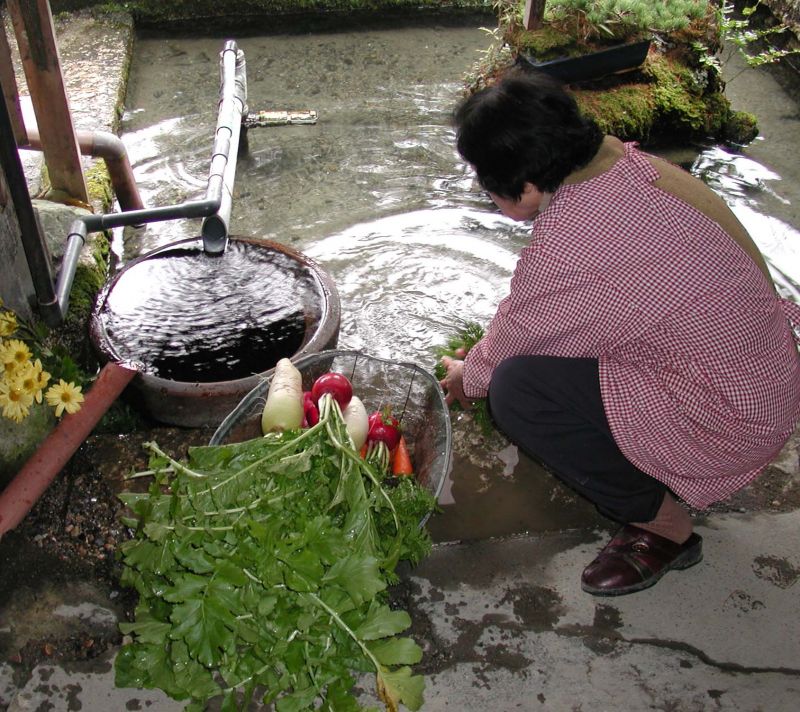 người dân rửa rau củ bằng nước Kabata